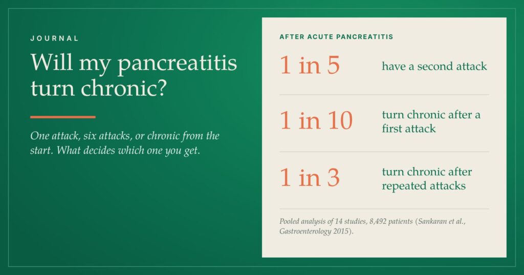 Will my pancreatitis turn chronic? 1 in 5 have a second attack, 1 in 10 turn chronic after a first attack, 1 in 3 after repeated attacks