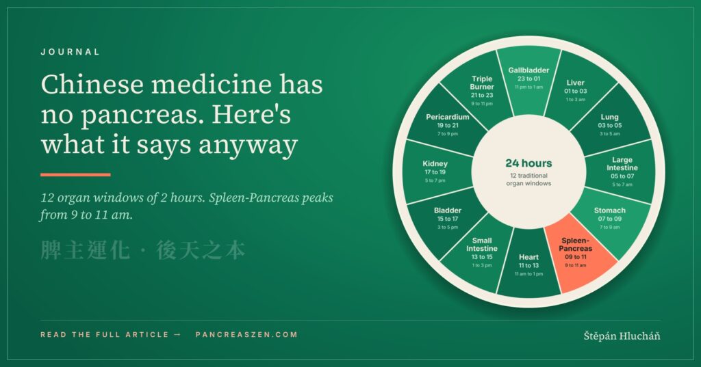 Journal header: Chinese medicine has no pancreas, here is what it says anyway. The 24 hour organ clock with the Spleen-Pancreas window from 9 to 11 am highlighted.