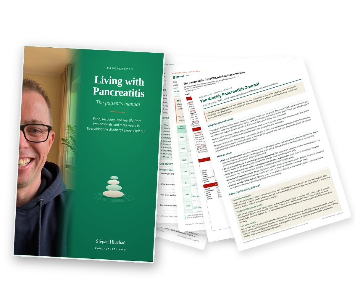 The PancreasZen book cover in front of the Kit's printable PDFs: the journal, the travel kit, the blood sugar log, the questions sheet, the hospital bag checklist and the safe foods list